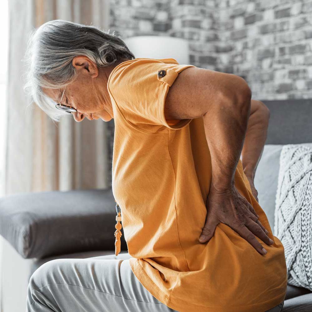 Back Pain Chiropractor in Anchorage AK – Whole Family Chiropractic Back Pain Chiropractor in Anchorage AK - Whole Family Chiropractic