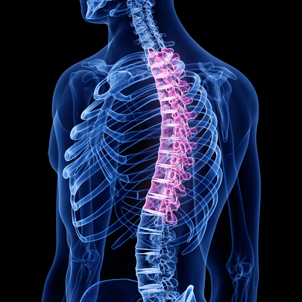 Physical Medicine in Anchorage by Whole Family Chiropractic Physical Medicine in Anchorage by Whole Family Chiropractic