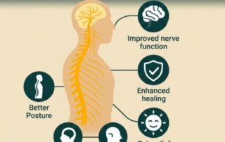 Anatomy infographic explaining how spinal health impacts nervous system fatigue symptoms, featuring key factors for well-being and improved nerve function.