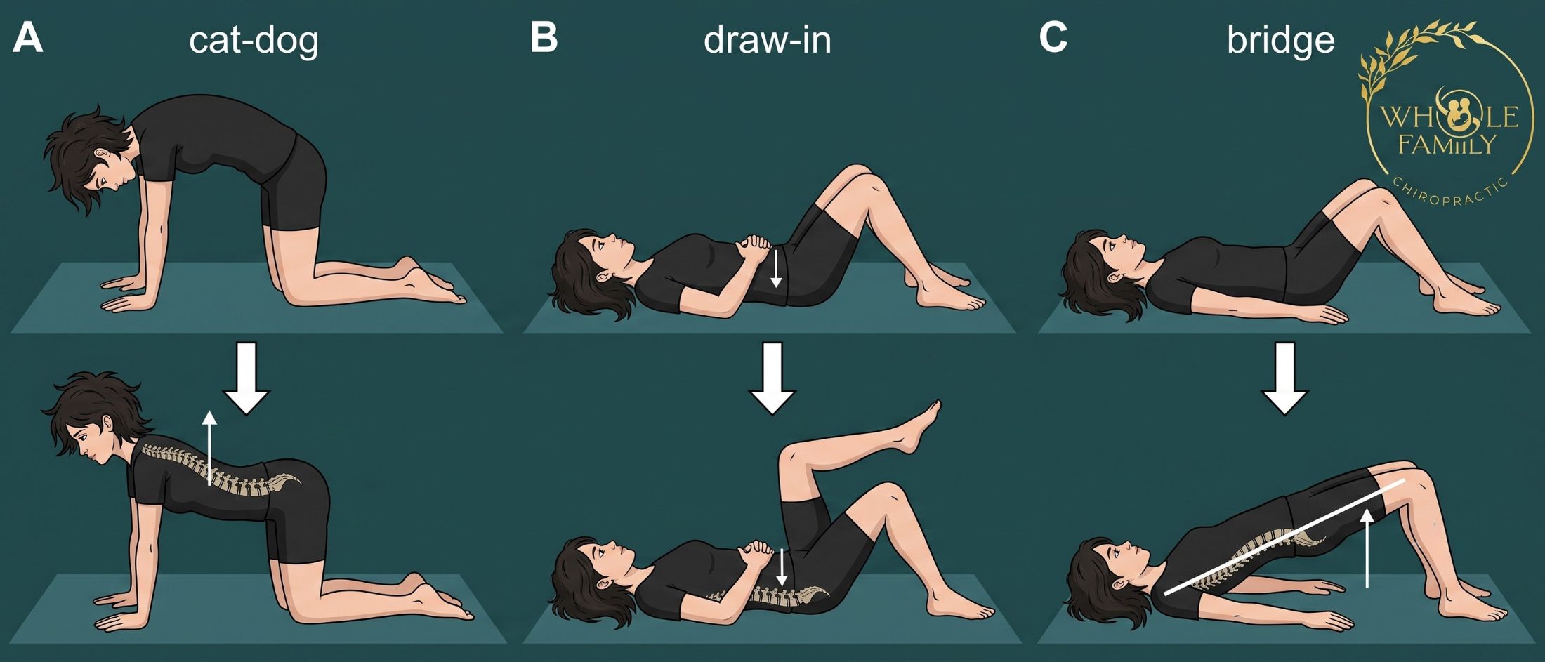 postural-stability-exercises Postural stability exercises including cat-cow, draw-in, and bridge to improve core stability and posture.
